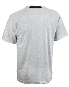 Oxford tshirt SR (AIF)
