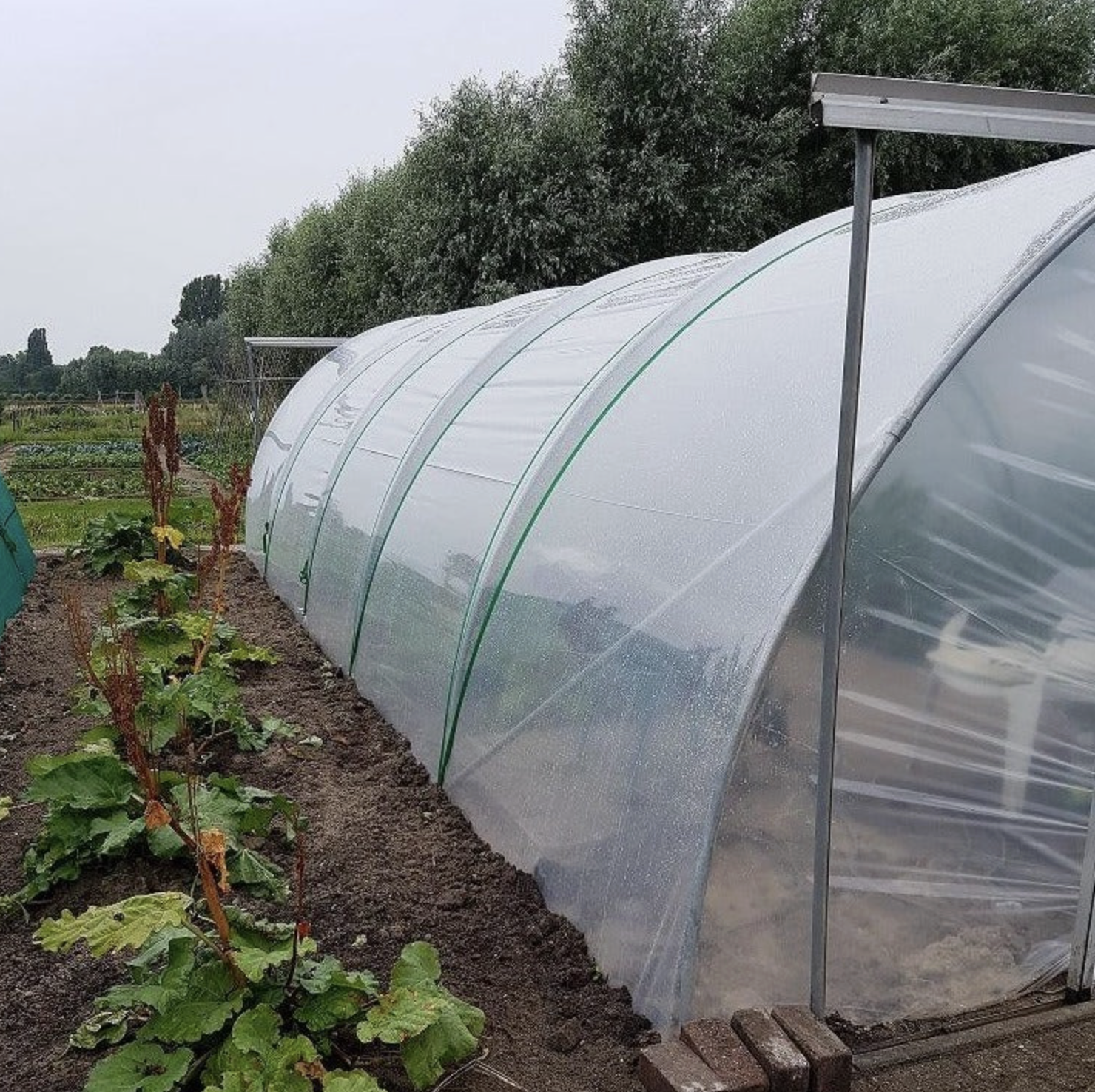 Tunnelväxthus 4,4 m bredd – Längd 10 meter - 2