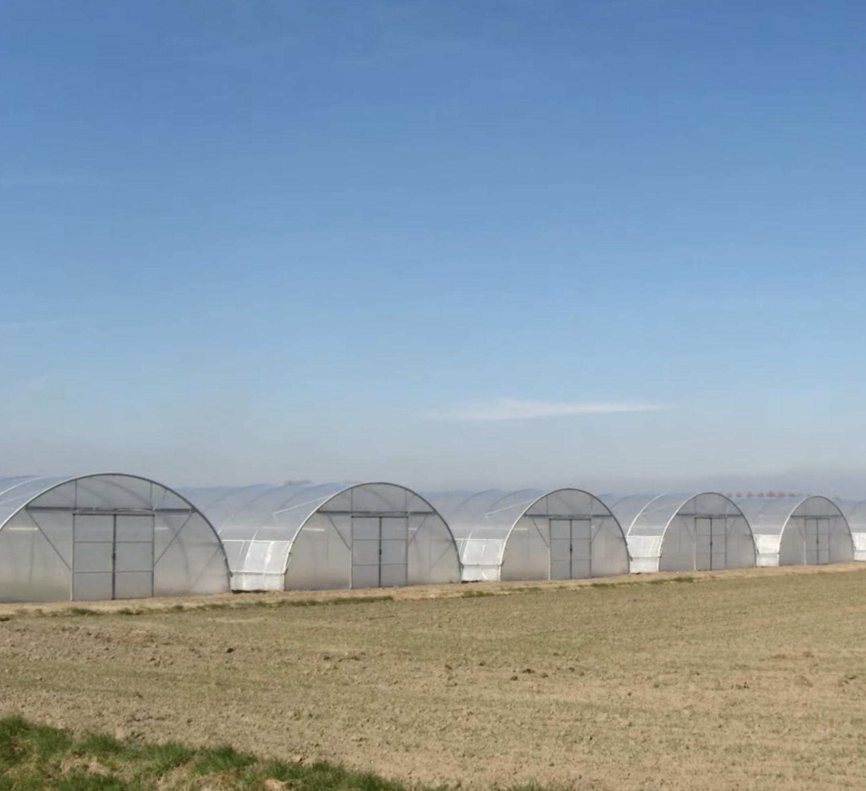Tunnelväxthus 9,3 m bredd – För professionell odling - 4