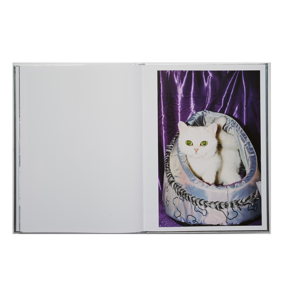 Felix Swensson: The Best Cat in The World - 5