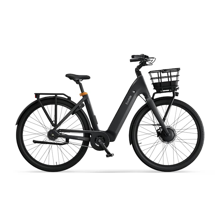 Ecoride Ambassador 4 Navmotor/Kedja/Fotbroms