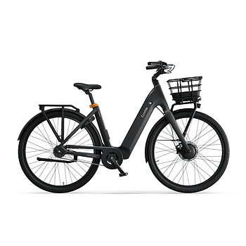 Ecoride Ambassador 4 Navmotor/Kedja/Fotbroms