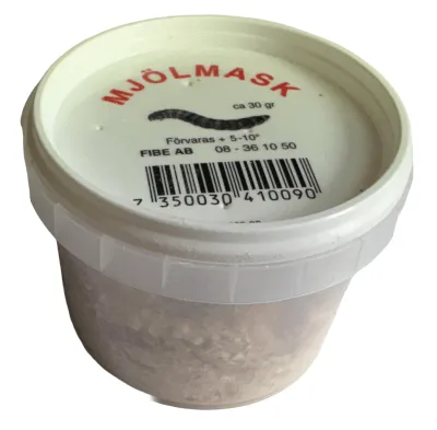 FIBE MAGGOTS/MJÖLMASK - 2
