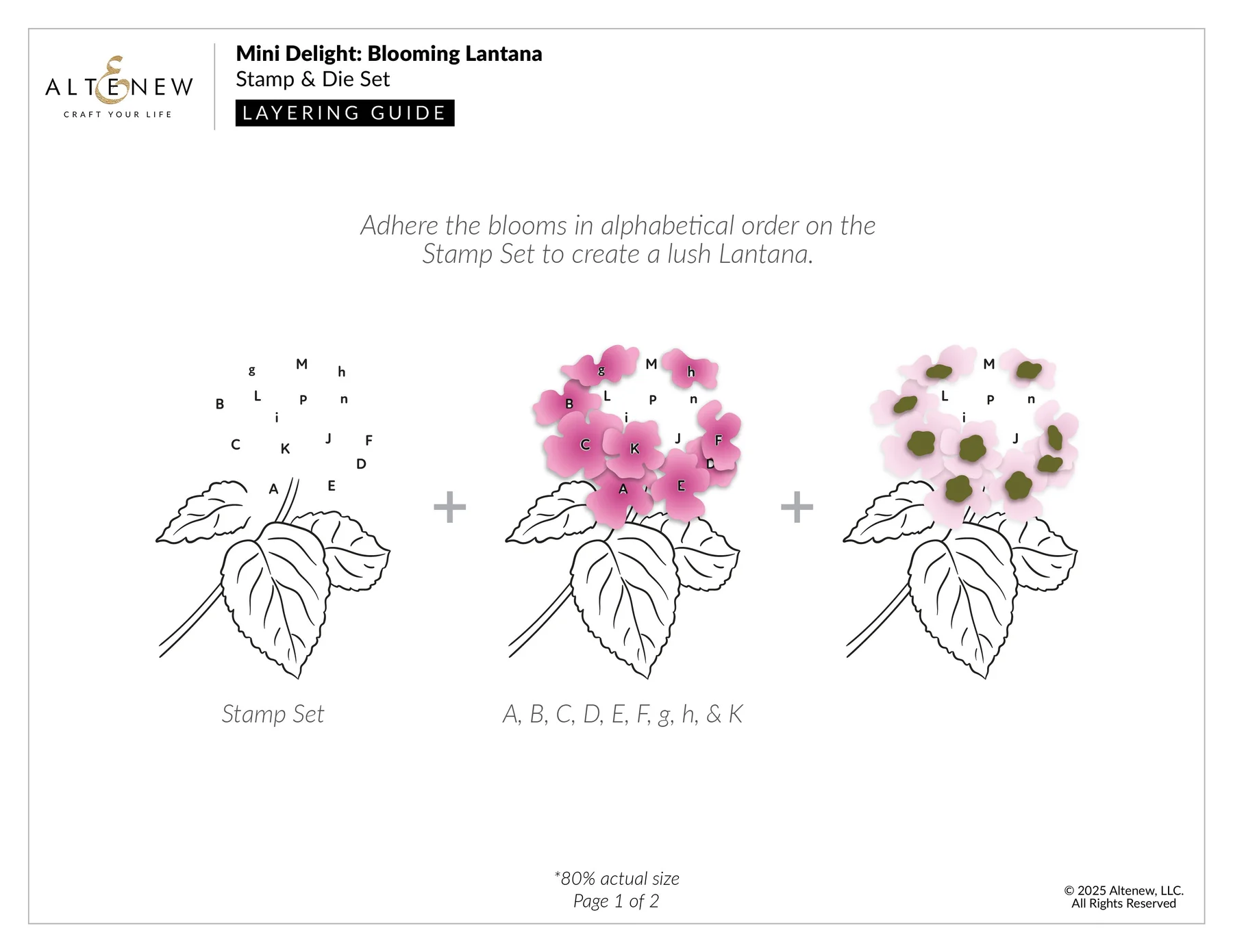 ALTENEW -Mini Delight: Blooming Lantana Stamp & Die Set - 4