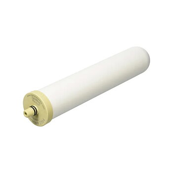 Doulton DC BioTect Ultra Filter 10"