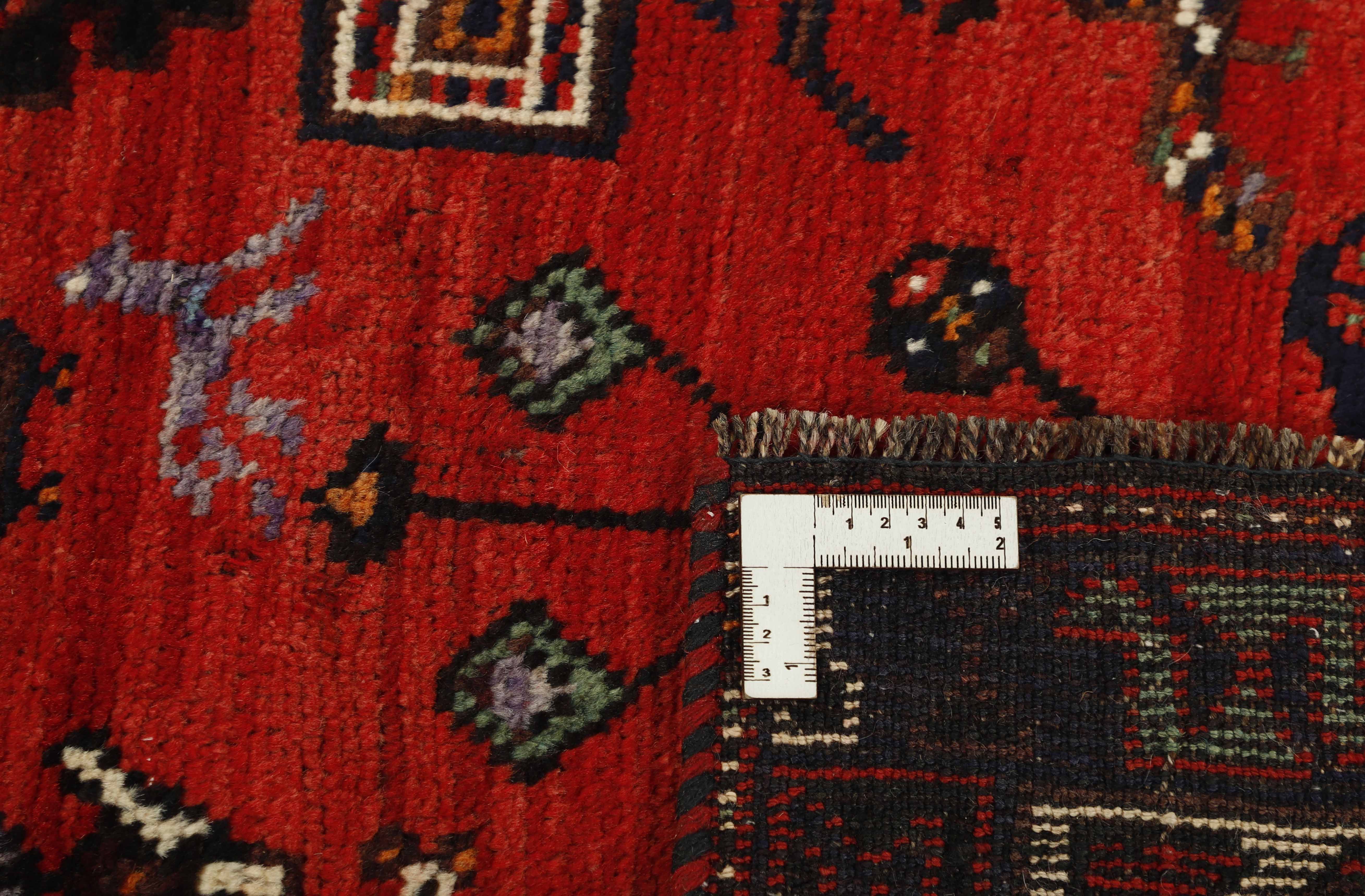 Shiraz 170x231cm - 4