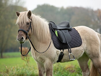 VegiTex® Barefoot® Merlyn Dressage (dressyr med korta kåpor) VEGAN