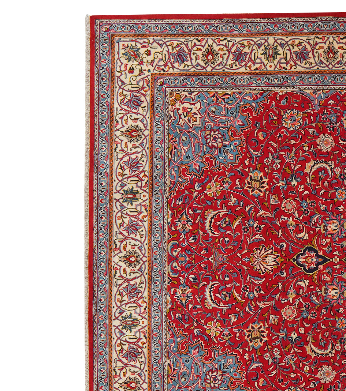 Sarouk 250x357cm - 5