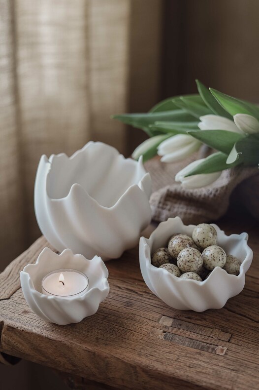 Bowl/Lantern Shell Large - Majas Cottage
