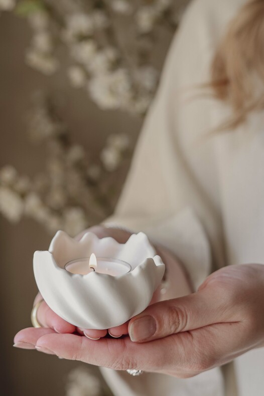 Bowl/Lantern Shell Small - Majas Cottage