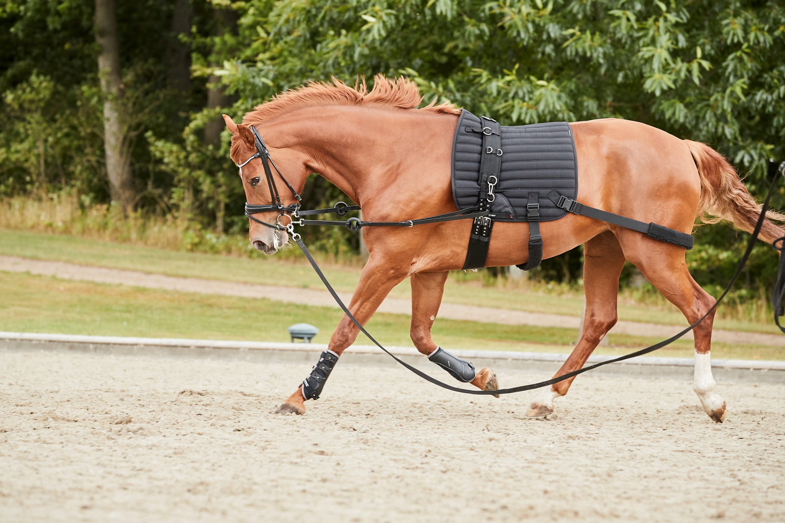 Catago Hybrid Träningsunderlag m/ elastiska remmar, allround - 3