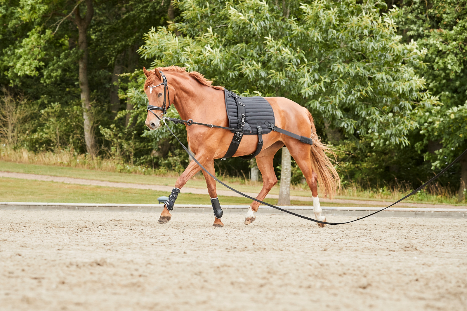 Catago Hybrid Träningsunderlag m/ elastiska remmar, allround