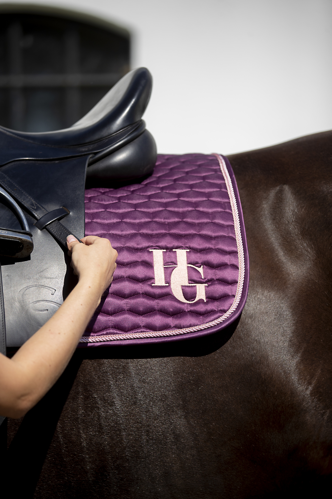 Schabrak HG - Taleen Italian Plum allround