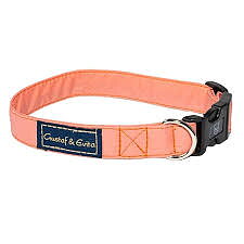 Gustaf & Evita hundhalsband persika - ställbart