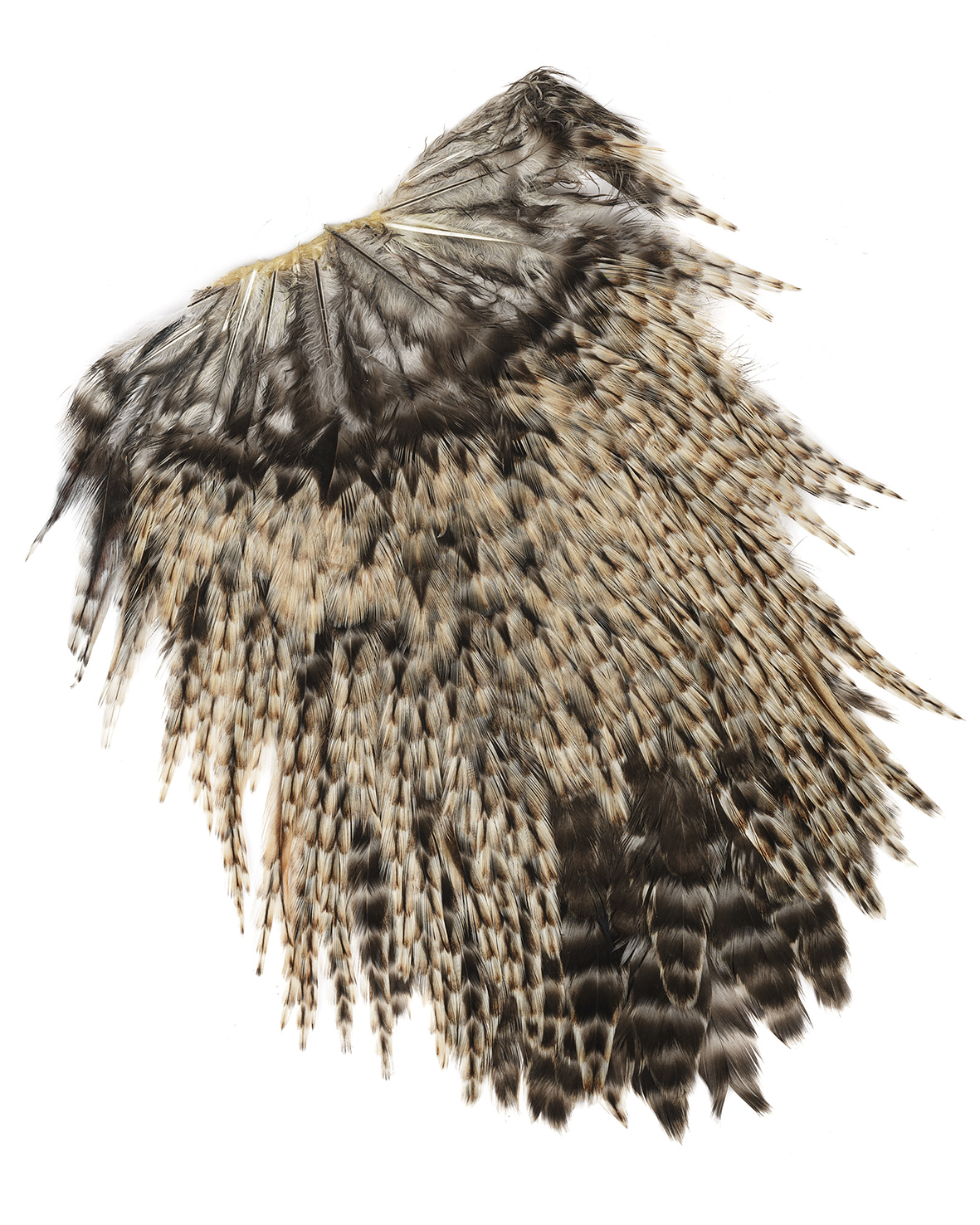 Indian Rooster Saddle