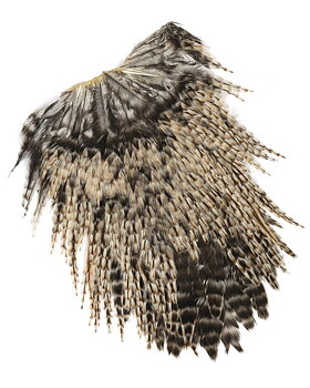 Indian Rooster Saddle