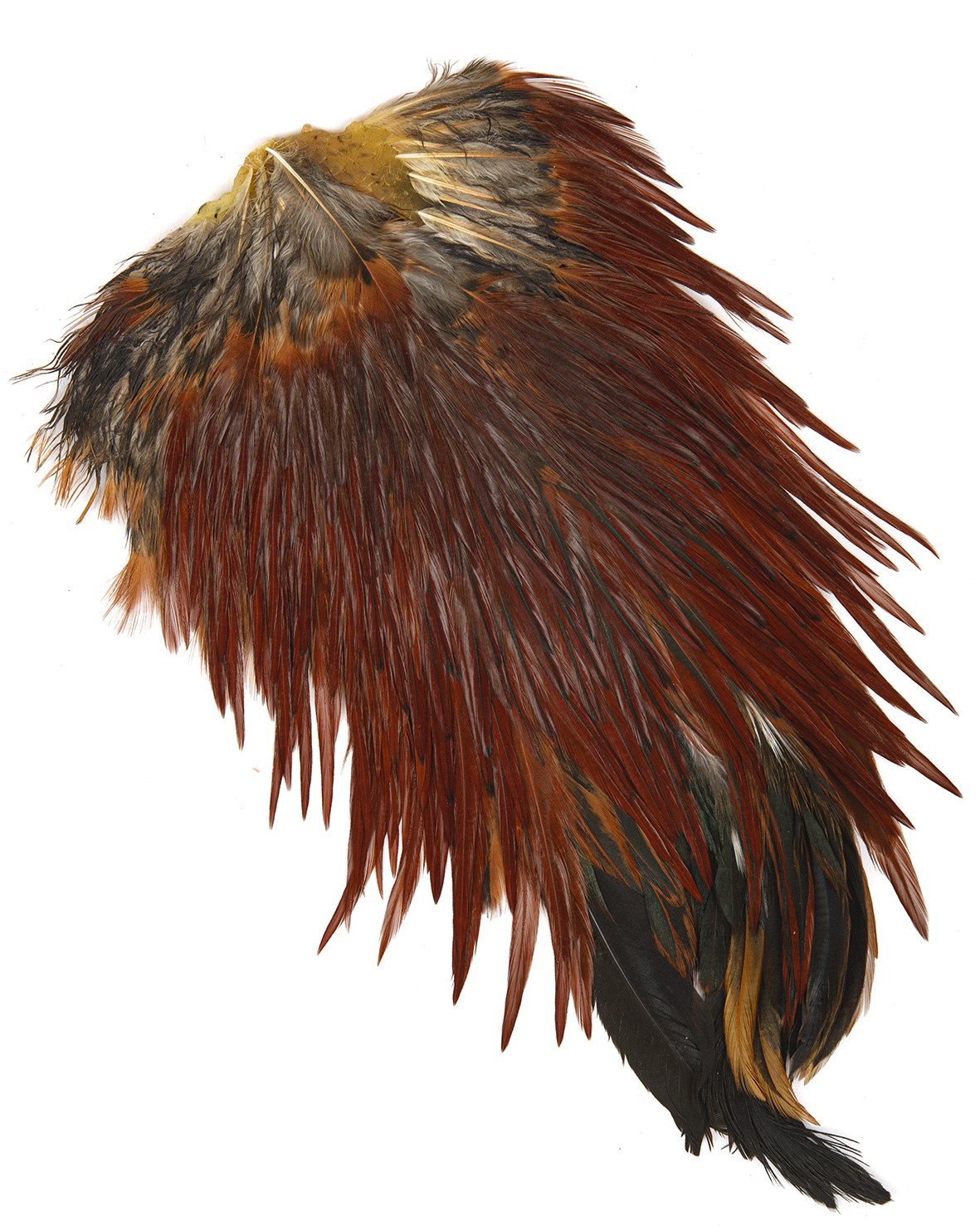 Indian Rooster Saddle - 3
