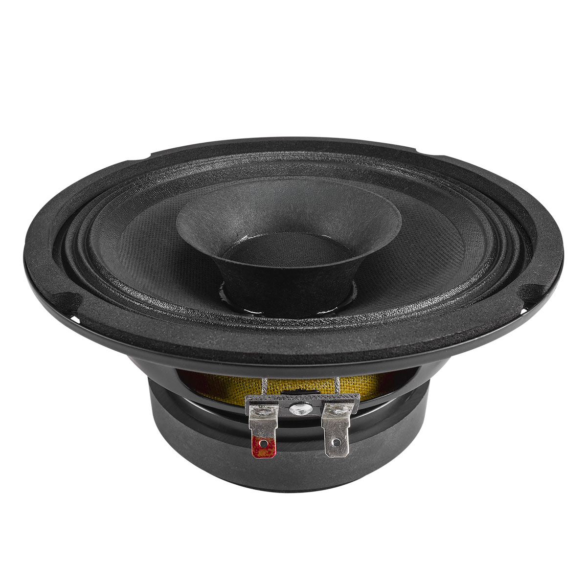 PRV Audio 6FR200 - 6