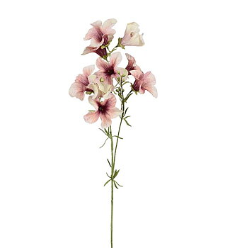 Petunia rosa 90 cm