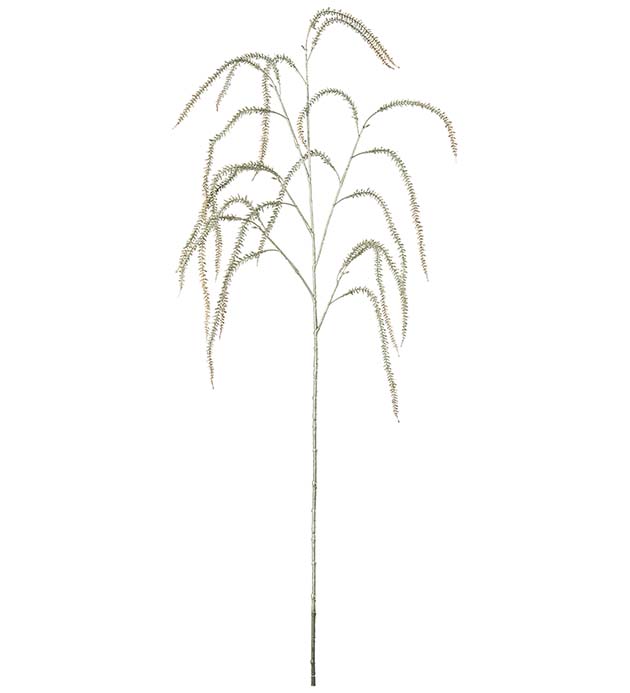 Amaranthus 95 cm