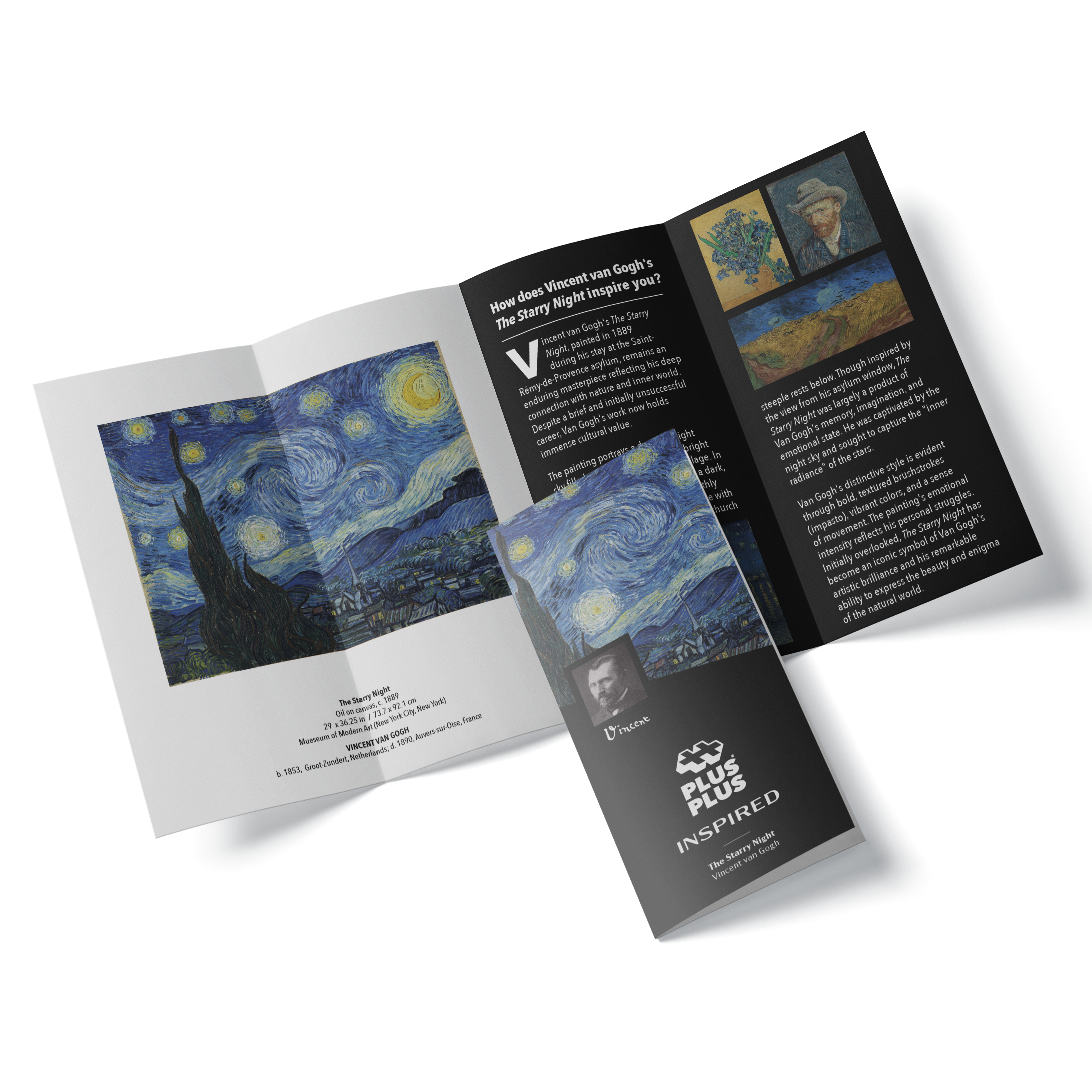 Plus-Plus Inspired - van Gogh Starry Night - 3