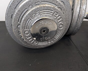 Skivhantlar 27,5 kg (1 par)