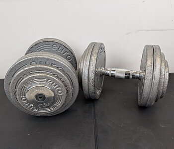 Skivhantlar 27,5 kg (1 par)