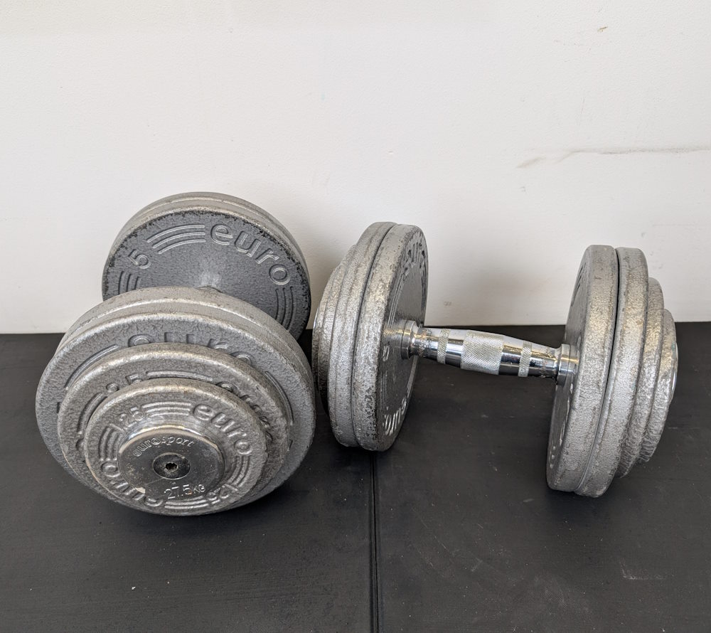 Skivhantlar 27,5 kg (1 par) - 3