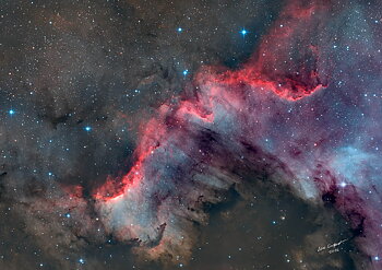 NORDAMERIKANEBULOSAN - NGC 7000