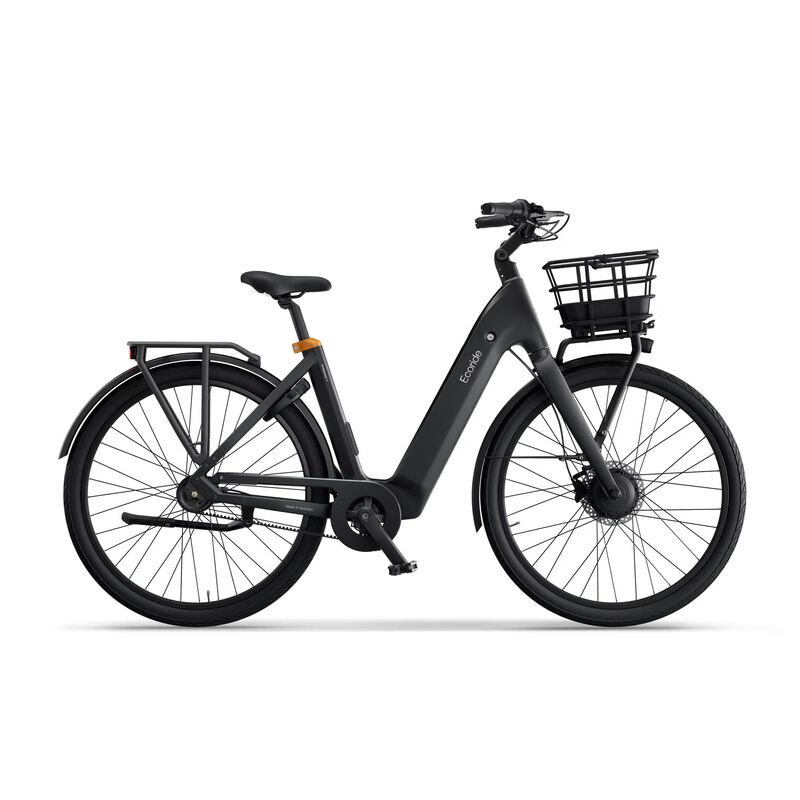 Ecoride Ambassador 4 - Mittmotor | Remdrift | Fotbroms