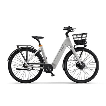 Ecoride Ambassador 4 - Mittmotor | Remdrift | Fotbroms