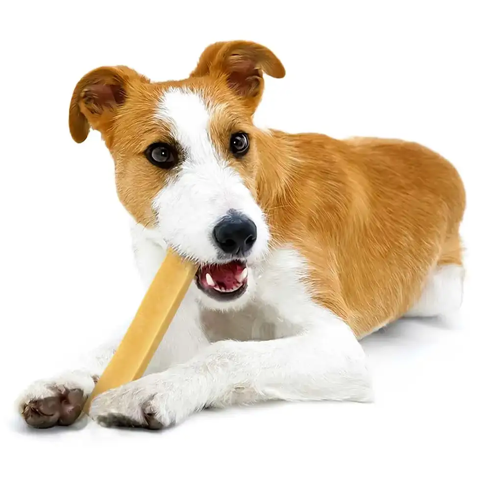 Dog chews made of cheese