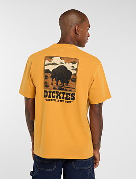 Dickies Darrtown sunflower t-shirt