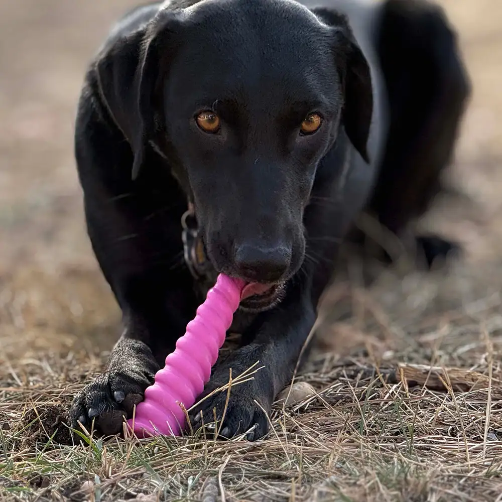 Chew toy for hard chewers SodaPup