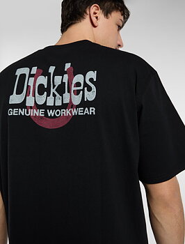 Dickies Vernal svart t-shirt