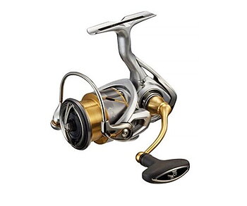 Daiwa 21 Freams LT Haspelrulle -Magsealed-