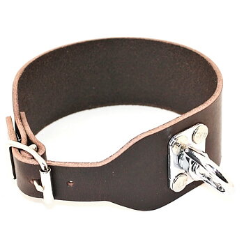 Alac Spårningshalsband med lekare, Brun 45 cm