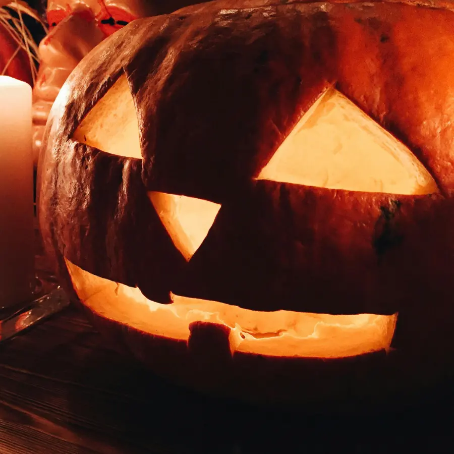 Halloweenpumpa 'Connecticut Field'