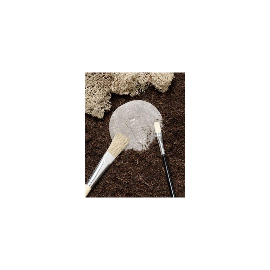 insekter av sten 8/fp - 4