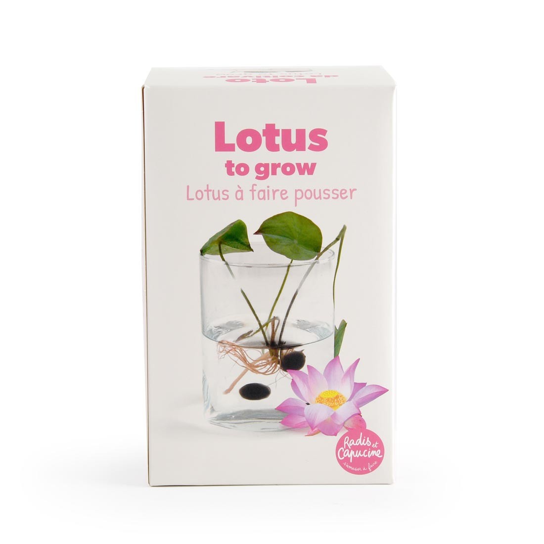 Lotus odla din egen