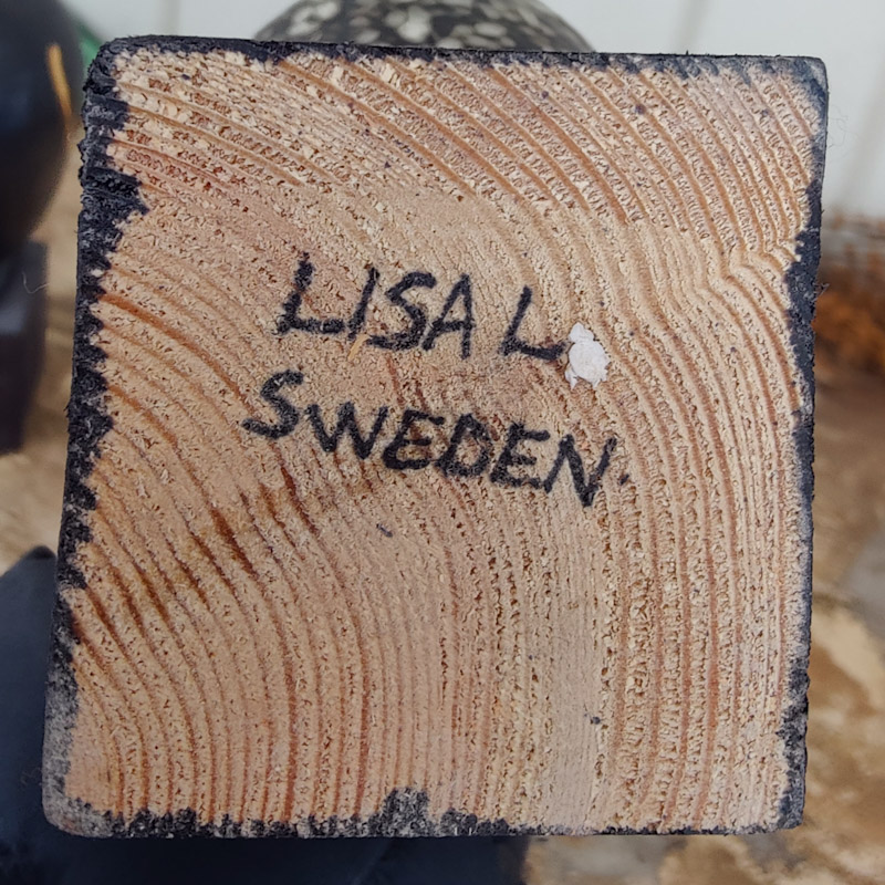 Fågel Fenix Ossian svart av Lisa Larson - 4