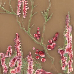 Aimo Nietosvuori (1970s) Rectangular Wall Plaque with Pink Heather Motif 23 cm (2)
