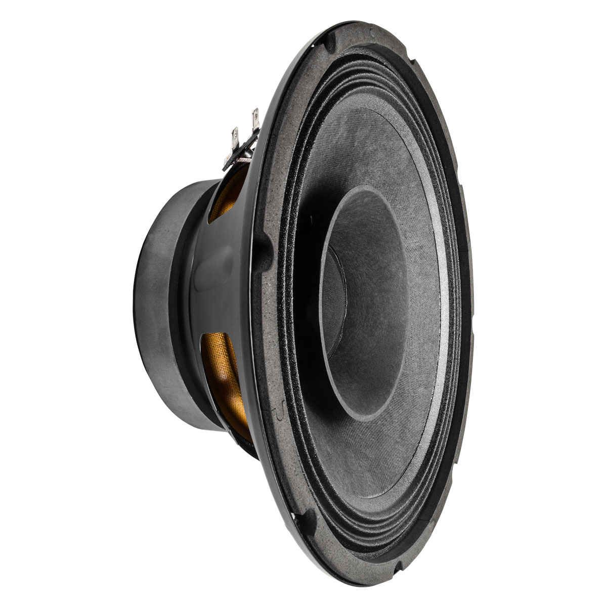 PRV Audio 10FR300 - 3