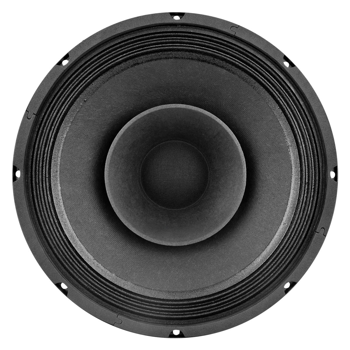 PRV Audio 10FR300 - 5