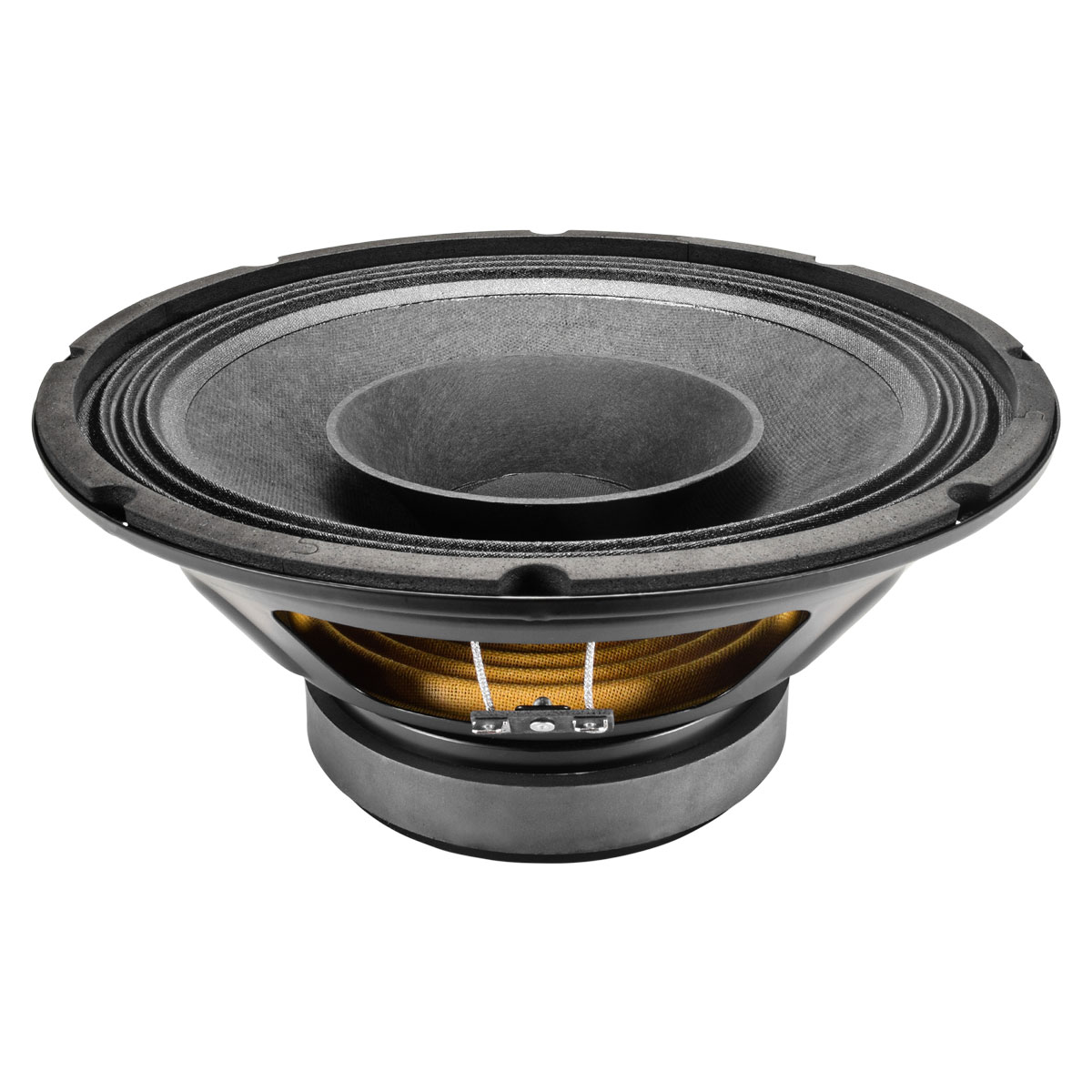 PRV Audio 10FR300 - 6