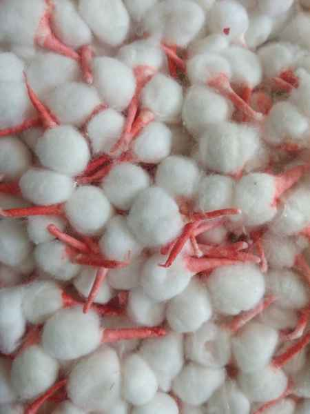 Cotton Wicks (Bati for Diya)
