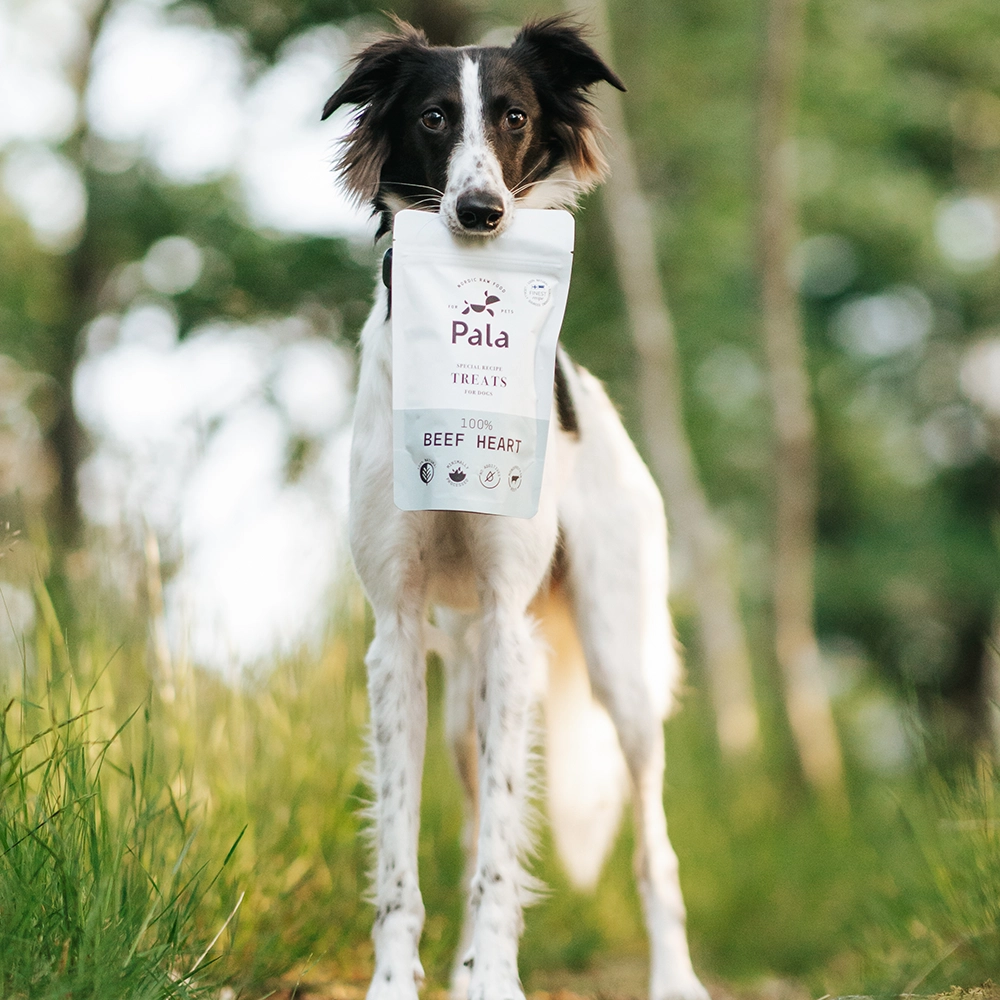 Pala treats - monoprotein dog treats - 2