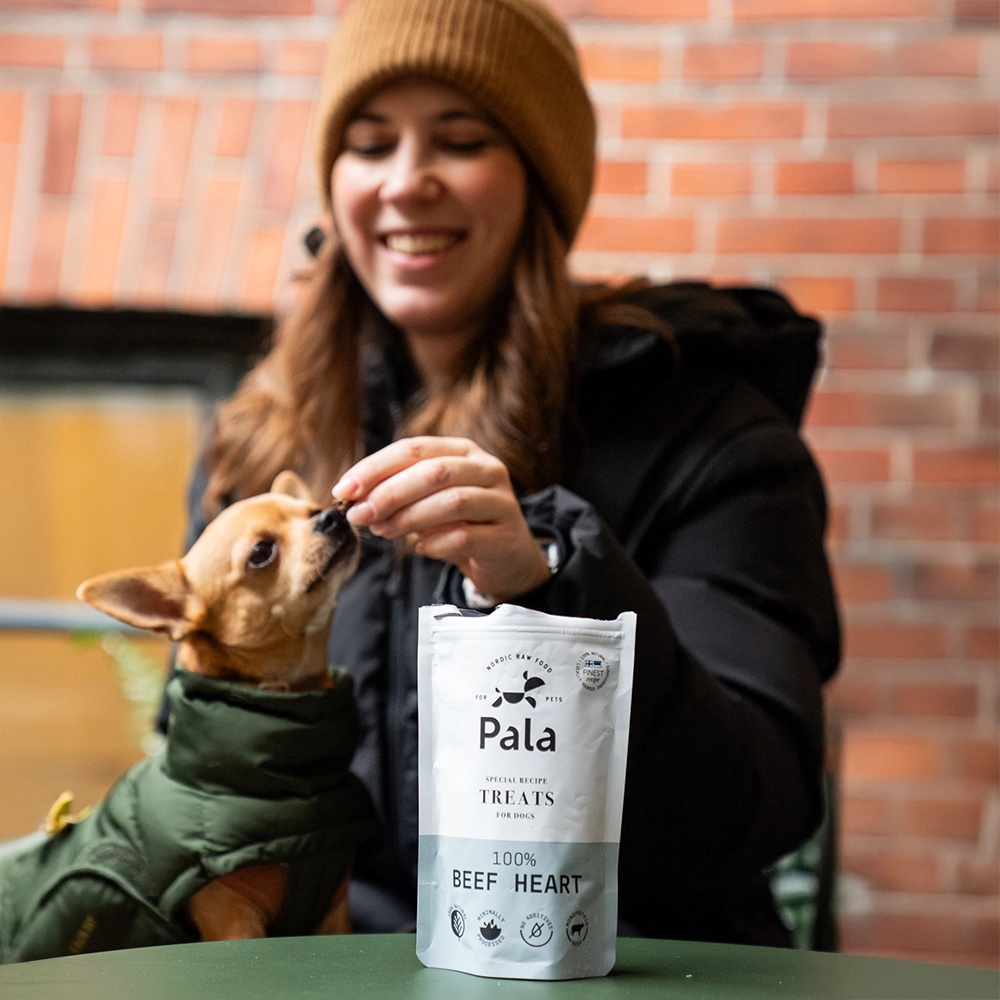 Dog treats from only one protein source single protein