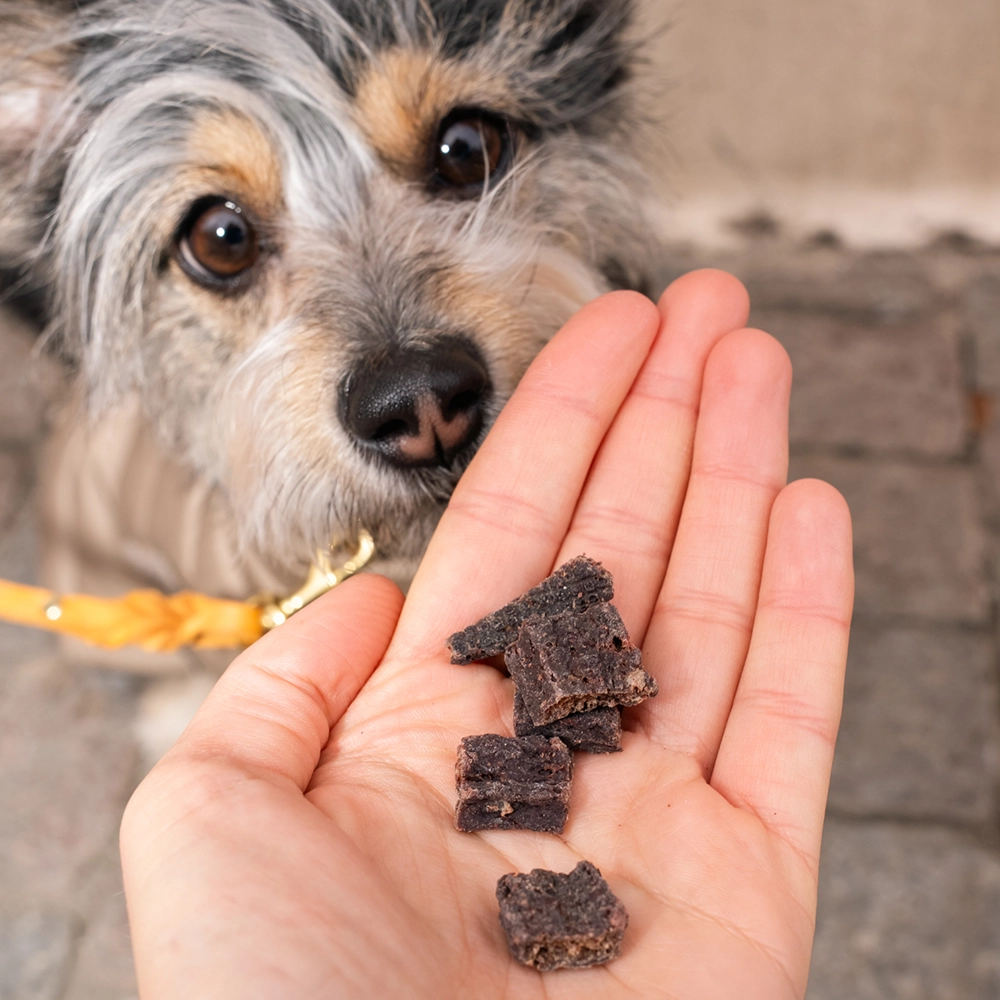 Semi-soft and semi-chewy dog treats that can be shared