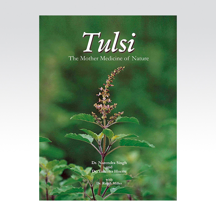 Tulsi- The Mother Medicine of Nature